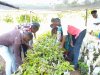 Rooting Change: How CO.I.KA is Empowering Youth Through Agroforestry in Eastern Rwanda