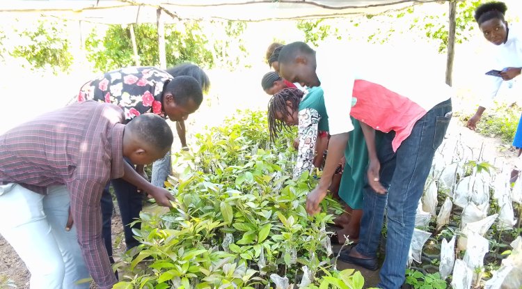 Rooting Change: How CO.I.KA is Empowering Youth Through Agroforestry in Eastern Rwanda