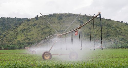 AGRA at the Heart of Rwanda’s Agricultural Transformation: A Vision 2050 Perspective