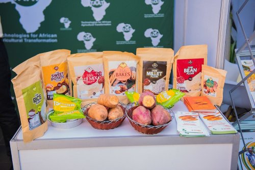 Guhanga udushya mu buhinzi bifunguriye urubyiruko amarembo mashya