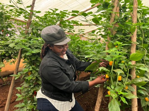 From City Dreams to Greenhouse Gold: Niyitanga Grace’s Rise as Rwanda’s Young Agri-Star