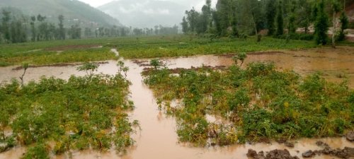 Iyo Ubutaka buhindutse inyanja ni nde ubuza Amato kurengerwa?