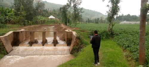 Rulindo: Umugezi watezaga ibyago ugiye kuba inkombe y’ibyiringiro ku bahinzi