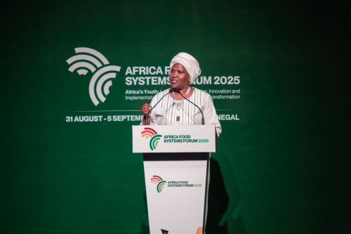 New report calls for bold action to transform Africa’s Agriculture