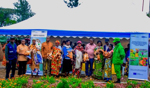 EUCORD and RDI Implement PROFARM Project under the EU-Funded KUNGAHARA Program to Combat Malnutrition and Stunting in Rwanda