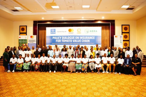 Stakeholders push for inclusion of tomatoes in Rwanda’s national agriculture insurance scheme