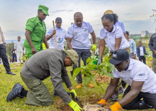 AGRA Chair Hailemariam Desalegn Joins Rwandans as Kigali Launches Ambitious Tree Planting Season