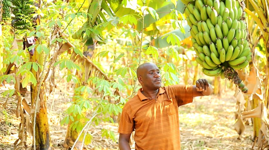 Yatangiriye ku bihumbi 600 gusa, ubu urutoki rwe rufite agaciro ka miliyoni 20