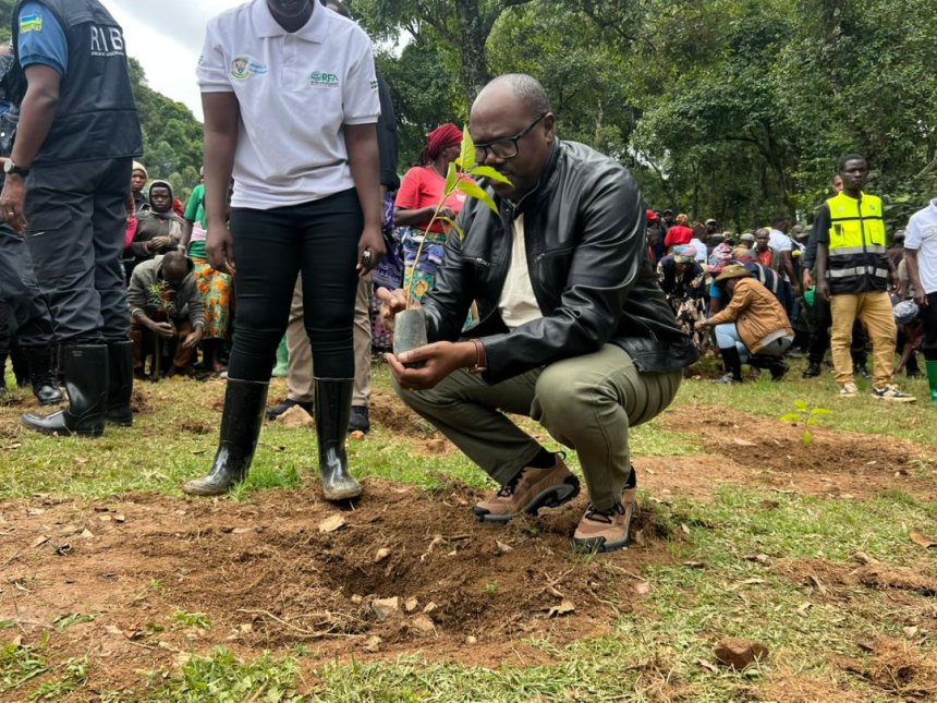 Minisitiri w’Intebe yifatanyije n’abatuye Karongi mu muganda wo gusubiranya ishyamba ryangiritse rya Mucuro Kalehe