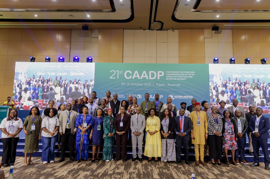 Unlocking the Power of Youth Agripreneurs: Africa’s Pathway to a Resilient Agri-food Future