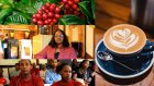 Uruhare rwa YouthConnekt, AGRA, Profemmes na RYAF mu Iterambere ry’Urubyiruko rukunda kawa binyuze muri Elite Café