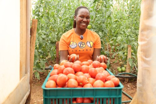 From Avoiding Agriculture to Shaping Its Future Through Smart Greenhouses - Bisenge Mico Mariette