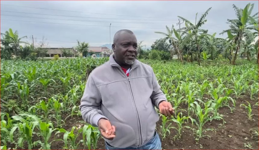 Gutinya gushora mu buhinzi ni ukwikunda: Urugendo rwa Nsengiyumva François mu guhindura imbuto z’ibigori mu Rwanda