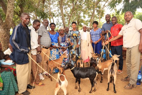 Bugesera: Umushinga wa COPORWA watangiye guhindura imibereho y’abasigajwe inyuma n’amateka mu murenge wa Rweru