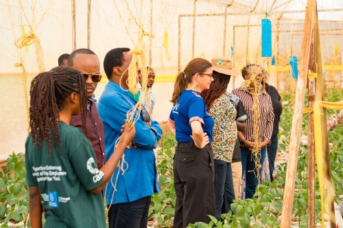 From Uncertainty to Prosperity: How Youth in Kayonza Are Building Their Future Through Agriculture