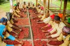 Ibikomoka ku Buhinzi Byoherejwe mu Mahanga Byinjirije u Rwanda Akayabo.