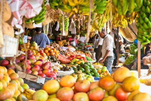 AGRA Raises Concern Over Rising Fertilizers Prices in Rwanda.