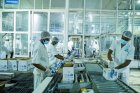 Rwanda Expects Milk Shortage to Ease as Rains Return.